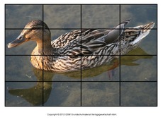 Puzzle-Stockente-5.pdf